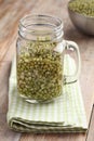 Mung bean sprouts Royalty Free Stock Photo