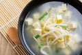 Mung bean sprouts soup with sliced tofu in a bowl