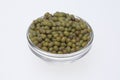 Mung bean, Vigna radiata