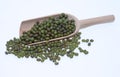 Mung bean, Vigna radiata Royalty Free Stock Photo