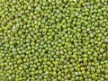 Mung bean (Vigna radiata)