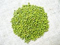 Mung Beans Royalty Free Stock Photo