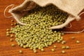 Mung beans Royalty Free Stock Photo