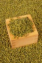 Mung beans Royalty Free Stock Photo