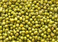 Mung Beans