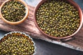 Mung beans in a copper and ceramic bowls on the stand Royalty Free Stock Photo