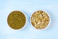 Mung beans dried and sprouted in a bowls on blue wooden background Royalty Free Stock Photo