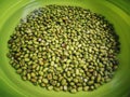 Mung beans  in green frame with oval outlines Royalty Free Stock Photo