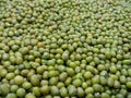 Mung beans Royalty Free Stock Photo
