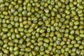 Mung beans texture background , top view - Bean seed cereal whole grains
