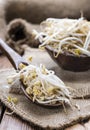 Mungbean Sprouts Royalty Free Stock Photo