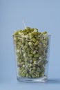 Mungbean Sprouts in glass jar. Blue bACKGROUND , Close up