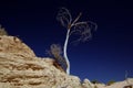 Mungo National Park Royalty Free Stock Photo