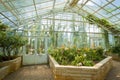 Munich, Botanical Garden orchids greenhouse