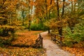 Munich English garden Englischer garten park in autumn. Munchen, Bavaria, Germany Royalty Free Stock Photo