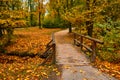 Munich English garden Englischer garten park in autumn. Munchen, Bavaria, Germany Royalty Free Stock Photo
