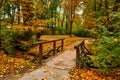 Munich English garden Englischer garten park in autumn. Munchen, Bavaria, Germany