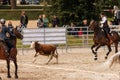 MUNICH, GERMANY - MAY 29: Working Equitation at Pferd International on May 29th, 2022 in Munich, Germany. Team cow