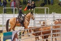 MUNICH, GERMANY - MAY 29: Working Equitation at Pferd International on May 29th, 2022 in Munich, Germany. Team cow