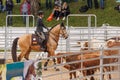 MUNICH, GERMANY - MAY 29: Working Equitation at Pferd International on May 29th, 2022 in Munich, Germany. Team cow Royalty Free Stock Photo