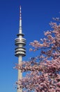 Munich olympic park