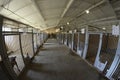 Municipal animal shelter: hangar with row of indoor aviaries, stray dogs barking behind bars. Borodjanka, Ukraine Royalty Free Stock Photo