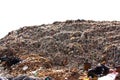 Municipal garbage dump in landfill Royalty Free Stock Photo