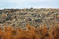 Municipal garbage dump in landfill. Royalty Free Stock Photo