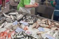 Municipal Market of Sesimbra, Portugal