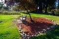 Wide angle shot, chair whit tee in Rose Gardens