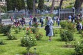 Municipal Roses Garden in Rome