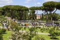 Municipal Roses Garden in Rome