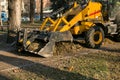 The municipal service is carrying out autumn works in the park