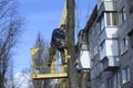 Municipal worker cutting dead standing tree with chainsaw using truck-mounted lift