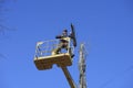Municipal worker cutting dead standing tree with chainsaw using truck-mounted lift