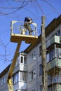 Municipal worker cutting dead standing tree with chainsaw using truck-mounted lift