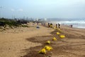Municipal Workers Cleaning Debris on Beach in Durban, South Africa