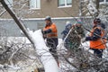 Municipal workers saw and clean trees felled by a blizzard. The consequences of snowfall and blizzards. November 9, 2019.