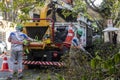 Municipality workers take the pruning of tree removal