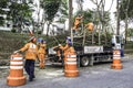 Municipality workers take the pruning of tree removal in Sao Paulo