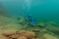 Munising, MI -August 11th, 2023: Multiple SCUBA divers exploring shipwreck remains Royalty Free Stock Photo