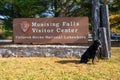 Black labrador retriever dog poses at the Munising Falls Visitor Center in Pictured Rocks