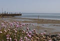 Munkmarsch on Sylt at the northsea