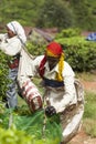 MUNNAR, INDIA - DECEMBER 16, 2015 : Woman picking tea leaves in Royalty Free Stock Photo