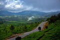 Munnar Tea plantation. Best Tea plants In Munnar, Kerala, India Royalty Free Stock Photo