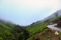 Munnar Tea plantation. Best Tea plants In Munnar, Kerala, India Royalty Free Stock Photo