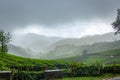 Munnar Tea plantation. Sunset Over Tea Plantations In Munnar, Kerala, India Royalty Free Stock Photo