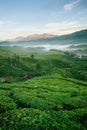 Green hills of tea plantations in Munnar Royalty Free Stock Photo