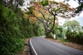 Munnar to Bodinayakanur Road Trip Colorful Trees