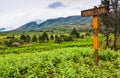 Munro Trail Marker and Fog Laden Mountains Royalty Free Stock Photo